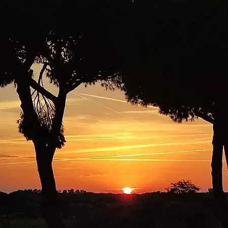 Podere Fichidimare *