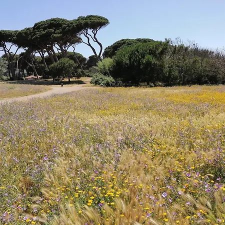 Podere Fichidimare Σπίτι διακοπών