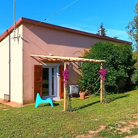 Σπίτι διακοπών Podere Fichidimare