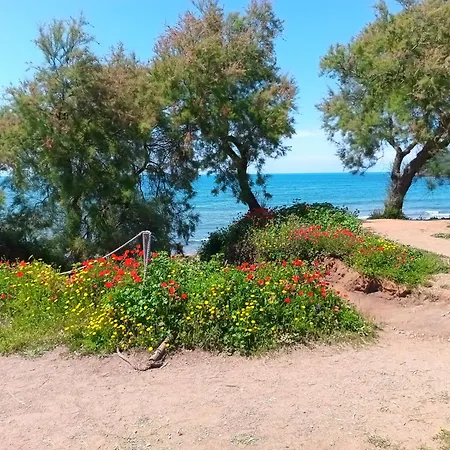 Podere Fichidimare Campiglia Marittima