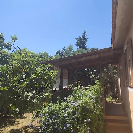 Podere Fichidimare Σπίτι διακοπών Campiglia Marittima