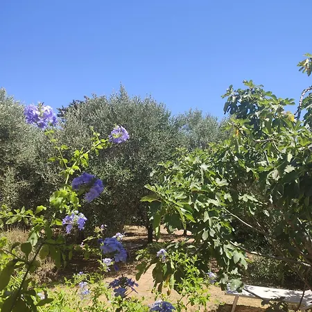 Σπίτι διακοπών Podere Fichidimare *